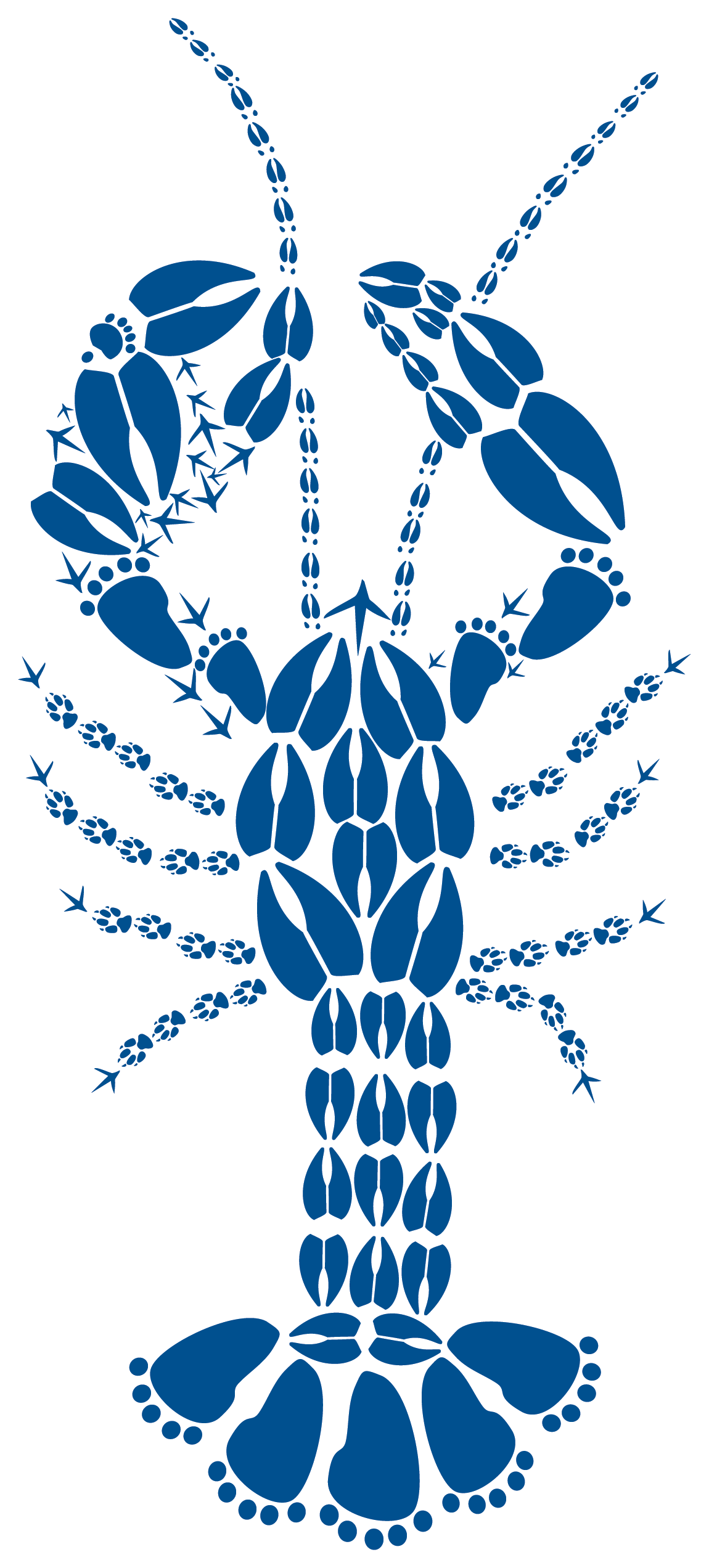 Blue Lobster Created From Wild Animal Tracks Animal Track Designs blue-lobster-created-from-wild-animal-tracks-animal-track-designs