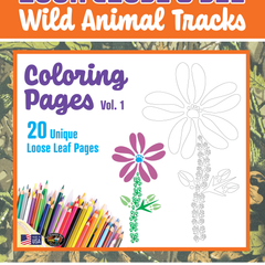 Collection image for: Wild Animal Track Coloring Pages