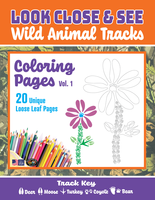 Wild Animal Track Coloring Pages