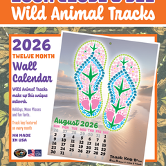 Collection image for: Calendars
