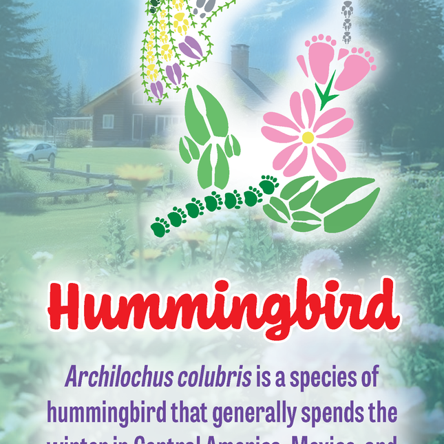 Hummingbird | Wild Animal Tracks Bookmark
