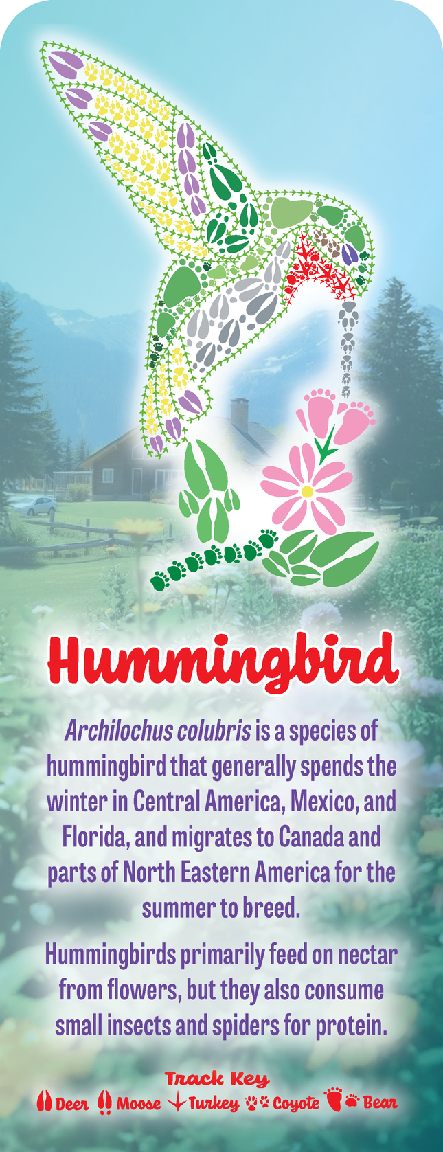 Wild Animal Tracks Hummingbird Bookmark — Nature Lover Gift