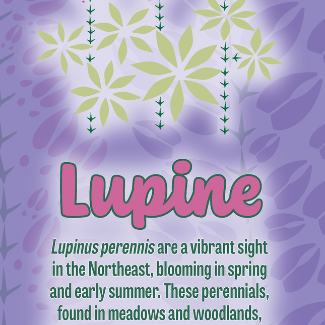 Lupines | Wild Animal Tracks Bookmark