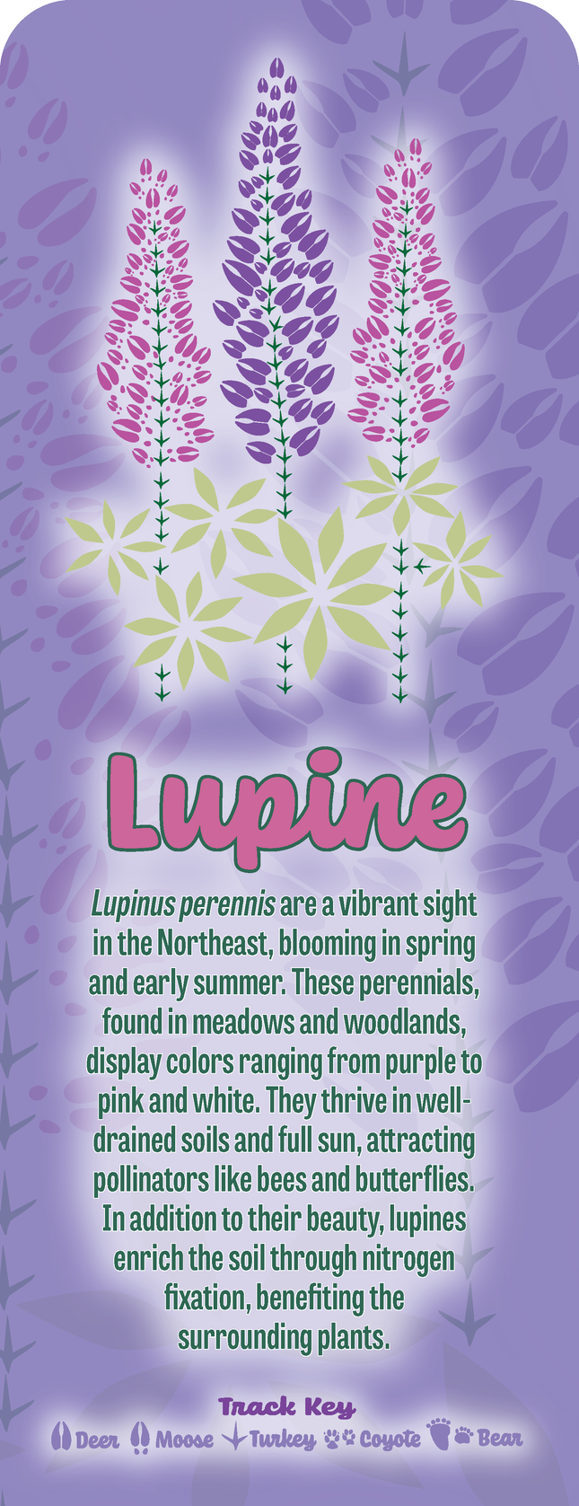 Wild Animal Tracks Lupine Wildflower Bookmark