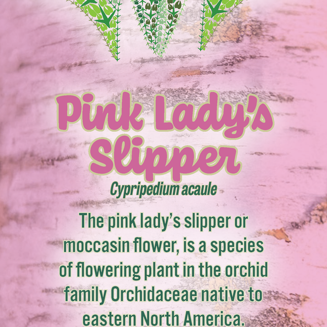 Pink Lady's Slippers | Wild Animal Tracks Bookmark