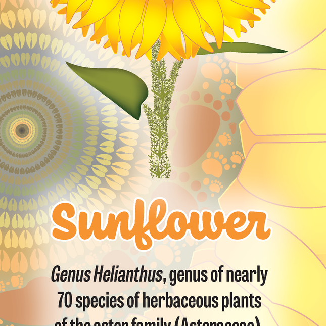 Sunflower | Wild Animal Tracks Bookmark