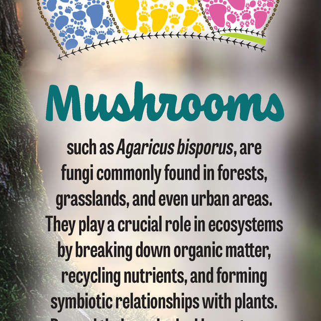 Mushrooms | Wild Animal Tracks Bookmark