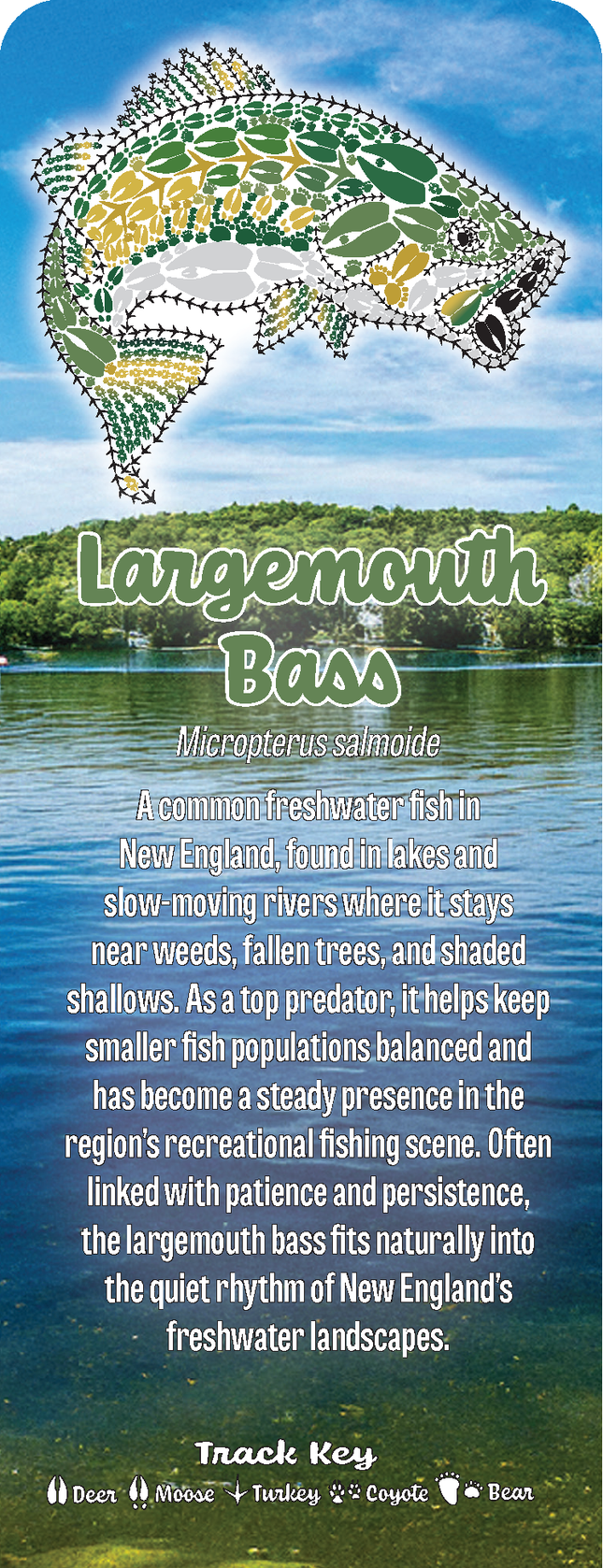 Wild Animal Tracks Largemouth Bass Fishing Bookmark — Angler Gift