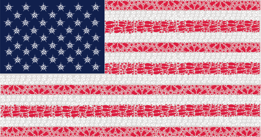 American Flag Note Card