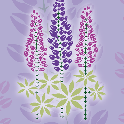 Lupine Magnet