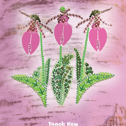 Pink Lady's Slippers Magnet