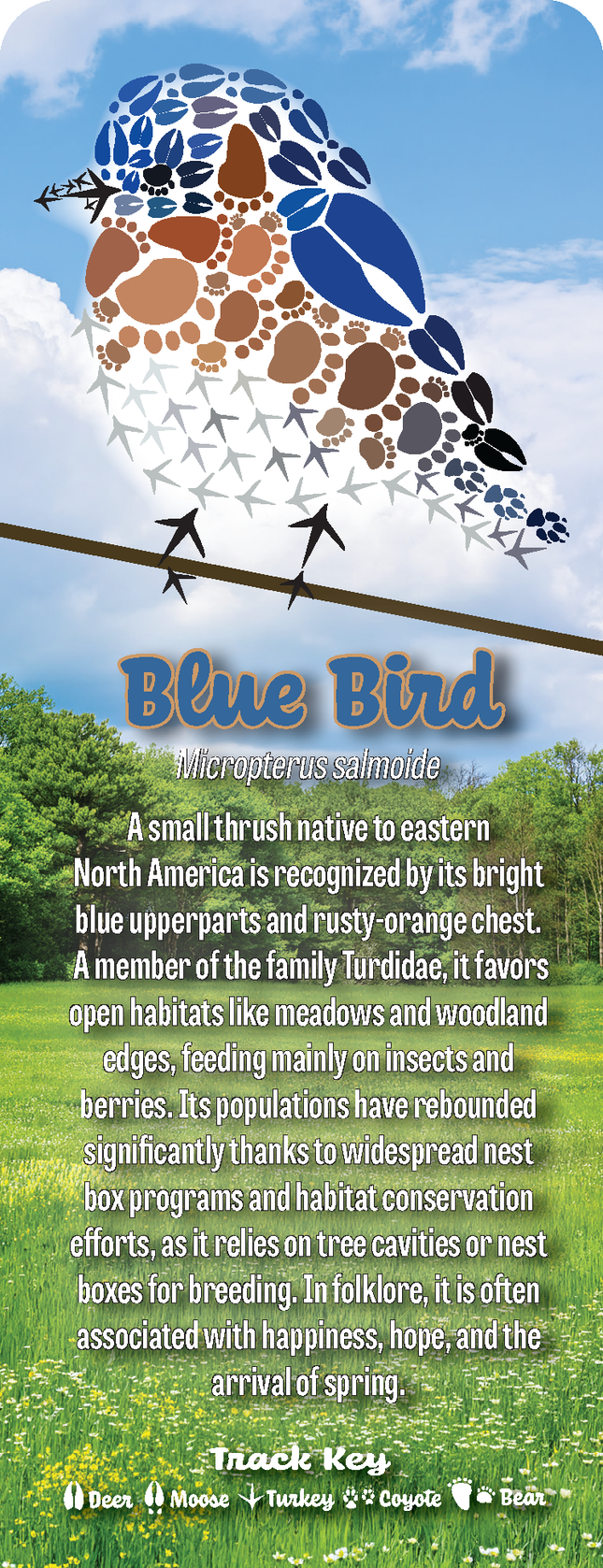 Wild Animal Tracks Bluebird Nature Bookmark