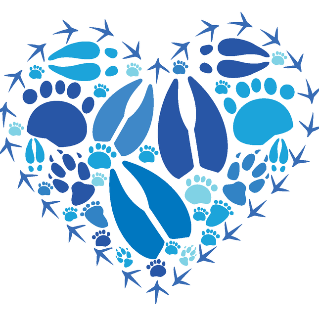 Blue Heart Note Card
