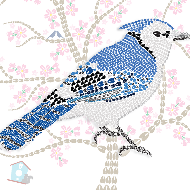 Blue Jay Note 6 Packs