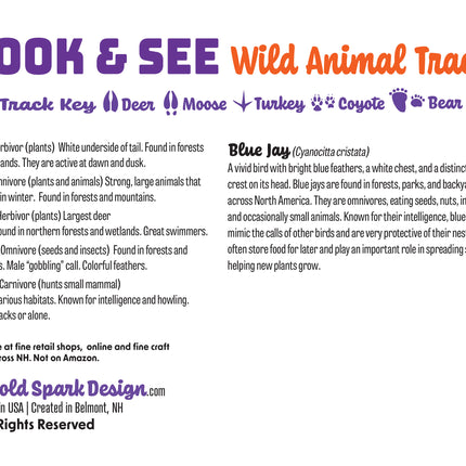 Blue Jay Single Notecard — Wild Animal Track Designs Bird Stationery