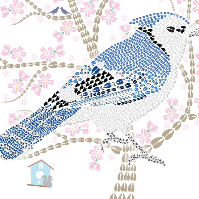 Blue Jay Single Notecard — Wild Animal Track Designs Bird Stationery