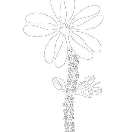 Wild Animal Track Coloring Pages  - 11x14