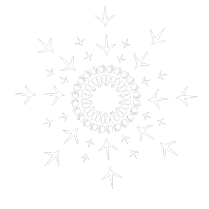 Wild Animal Track Coloring Pages  - 11x14