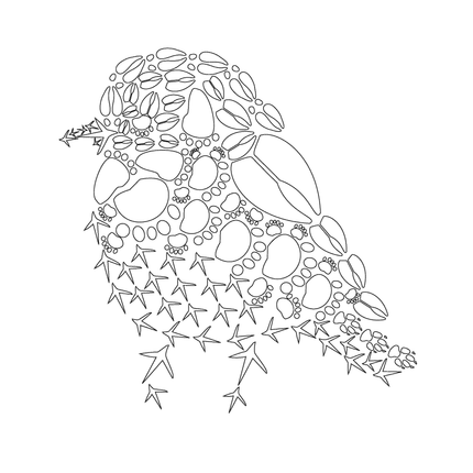 Wild Animal Track Coloring Pages  - 11x14