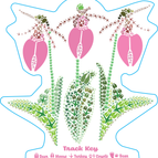 Pink Lady's Slippers