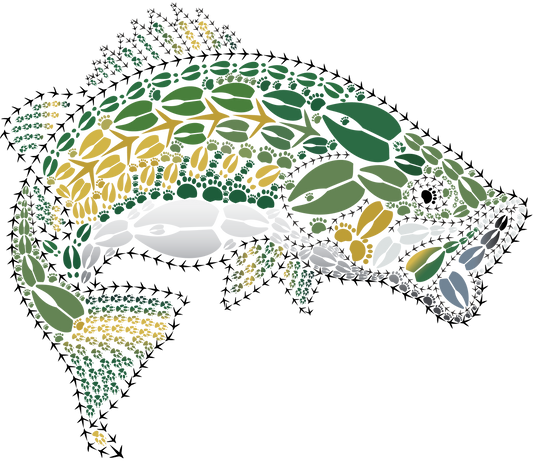 Largemouth Bass Stationery