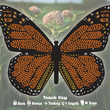 Monarch Butterfly Stationery