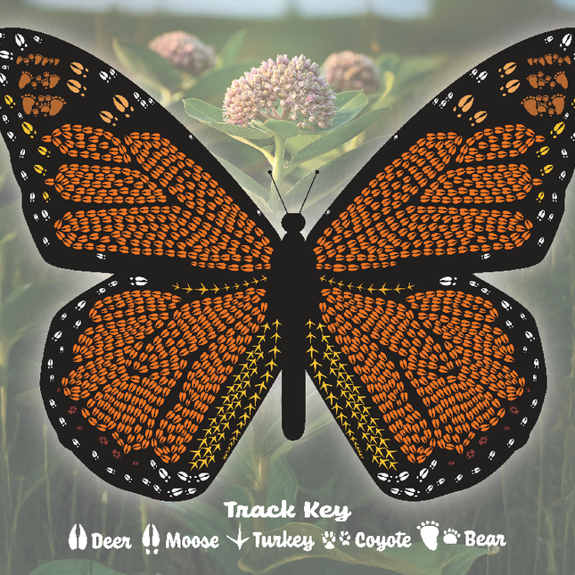 Monarch Butterfly Stationery
