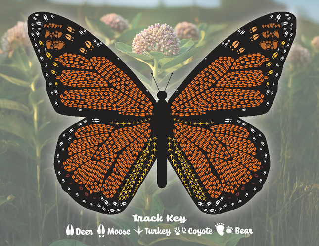 Monarch Butterfly Stationery