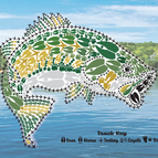 Acrylic Magnet Eco Cello Wrapped