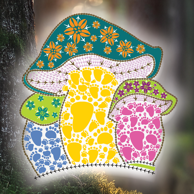 Mushrooms 8 Packs