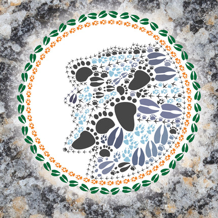 Old Man of the Mountain Note Card — Wild Animal Track Designs