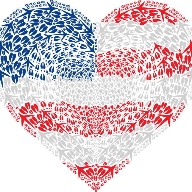 Patriotic Heart