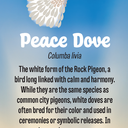 Peace Dove | Wild Animal Tracks Bookmark