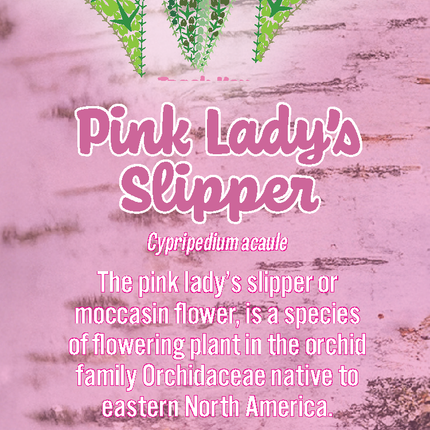 Wild Animal Tracks Pink Lady's Slipper Wildflower Bookmark