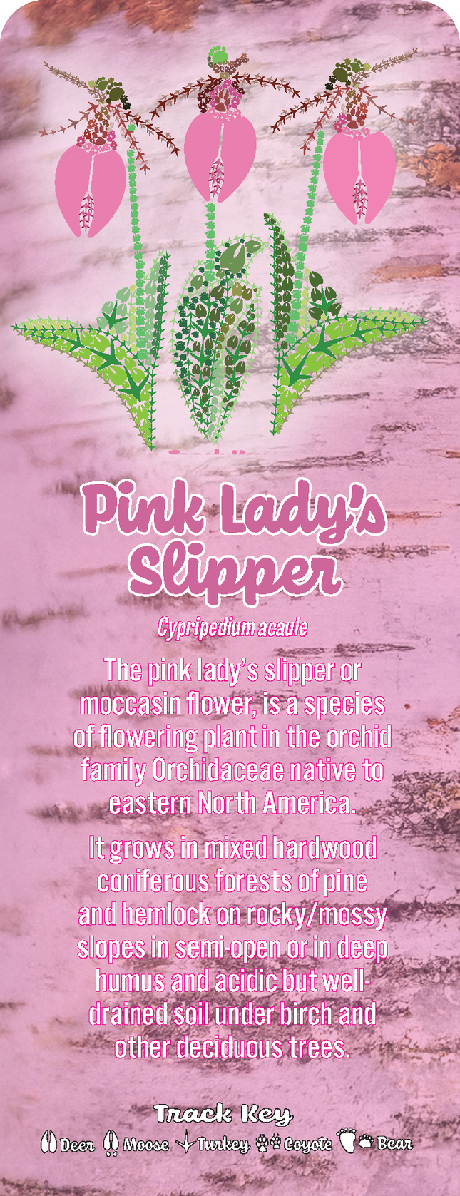 Wild Animal Tracks Pink Lady's Slipper Wildflower Bookmark