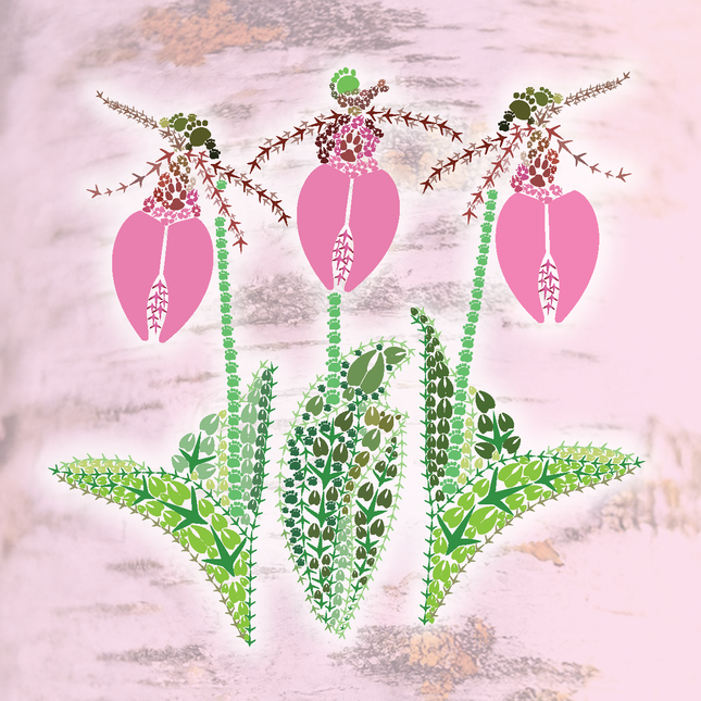 Pink Lady's Slippers Stationery
