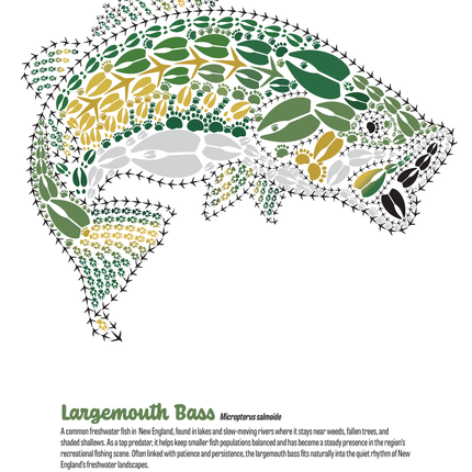 Track Trails: Color, Track & Discover — Wild Animal Track Designs Activity Book