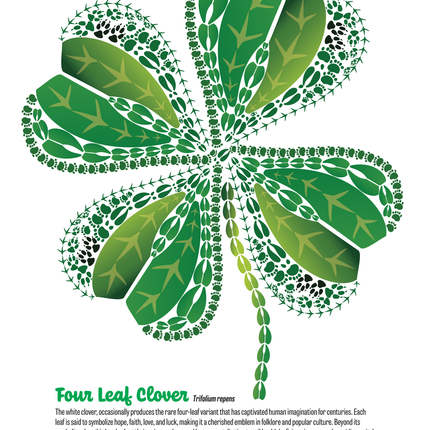Track Trails: Color, Track & Discover — Wild Animal Track Designs Activity Book