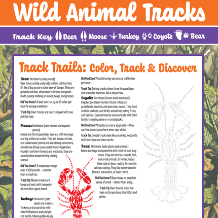 Track Trails: Color, Track & Discover — Wild Animal Track Designs Activity Book