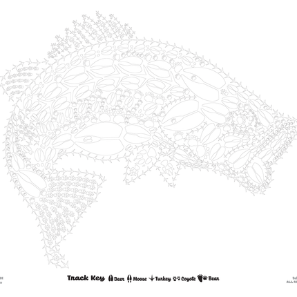 XL Animal Coloring Pages