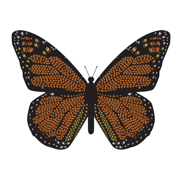 Monarch Butterfly Stationery