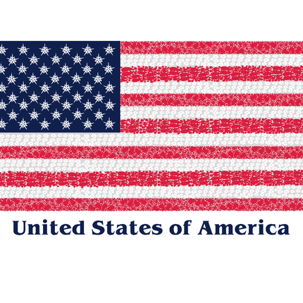 8 American Flag Note Card Box - Animal Track Designs
