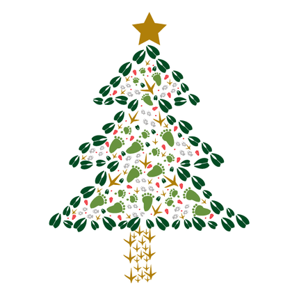 8 Christmas Tree Card Cello Pack - Animal Track Designs