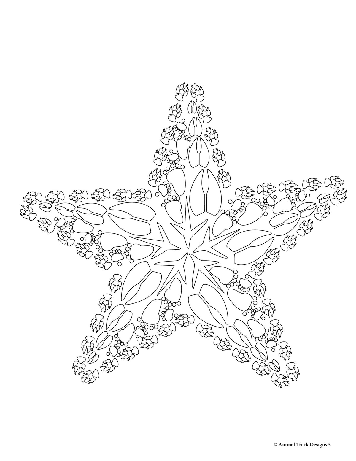 Animal Tracks Coloring Page Animal Tracks Identify The Tracks,